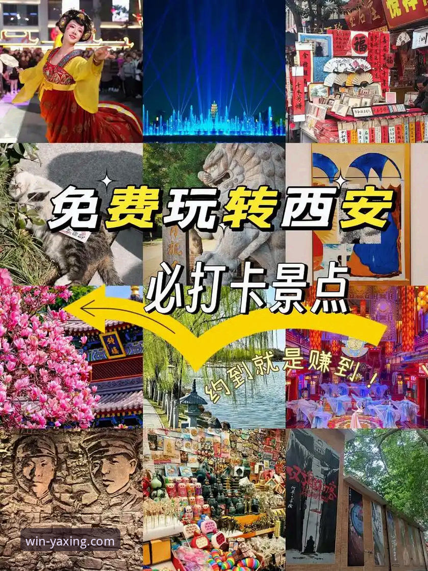 亚星娱乐手机版登录必备 亚星娱乐手机版登录必备指南:2026新版下载与官方入口全解析